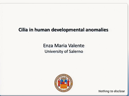 E5.1  Cilia in human developmental anomalies