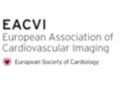 EACVI free webinar: How to use contrast to rule out left atrial appendage thrombus EACVI free webinar: How to use contrast to rule out left atrial appendage thrombus