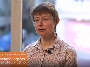 ECCMID 2019 Programme Committee Member