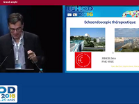 Echoendoscopie thérapeutique