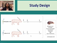 ECNP 2020 summary video ECNP 2020 summary video