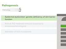 Eczema in Children - Pediatrics