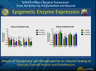 Effects of Vasopressin and Norepinephrine on Wound Healing of Vascular Smooth Muscle and Endothelium Effects of Vasopressin and Norepinephrine on Wound Healing of Vascular Smooth Muscle and Endothelium