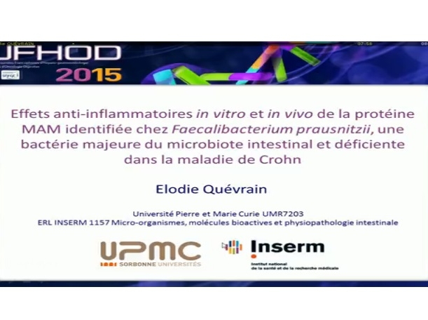 Effets anti-inflammatoires in vitro et in vivo de la protéine MAM identifiée chez Fæcalibacterium prausnitzii, une bactérie majeure du microbiote intestinal et déficiente dans la maladie de Crohn