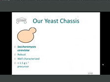 EFIB 2020: Unlocking the potential of industrial yeasts