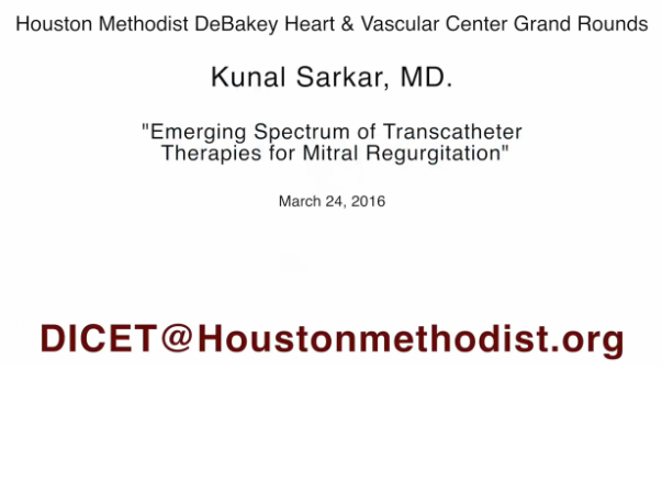 Emerging Spectrum of Transcatheter Therapies for Mitral Regurgitation