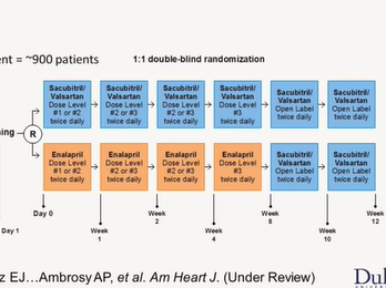 Emerging Therapies in Heart Failure