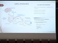 En finir avec les douleurs (1/4)