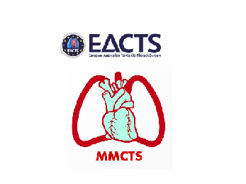 Endomyocardial biopsy under echocardiographic monitoring