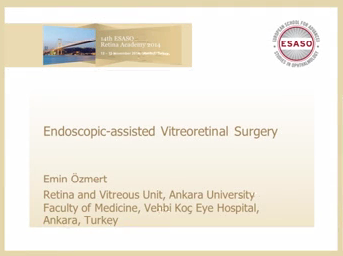 Endoscopic-assisted Vitreoretinal Surgery Endoscopic-assisted Vitreoretinal Surgery