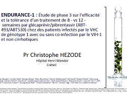 CO009 - ENDURANCE-1 : étude de phase 3 évaluant l'efficacité et la tolérance d'un traitement de 8 versus 12 semaines par ABT-493/ABT-530 chez des patients non cirrhotiques atteints du VHC de génotype 1 coinfectés ou non par le VIH-1
