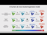 Engineered iPSCs to Model Human Leukemia Engineered iPSCs to Model Human Leukemia
