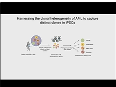 Engineered iPSCs to Model Human Leukemia