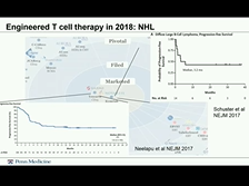 Engineered T cells for Cancer Therapy in 2018 - Saar Gill