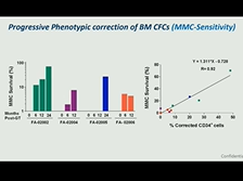 Engraftment and Phenotypic Correction of Hematopoietic Stem Cells in Fanconi Anemia Patients Engraftment and Phenotypic Correction of Hematopoietic Stem Cells in Fanconi Anemia Patients
