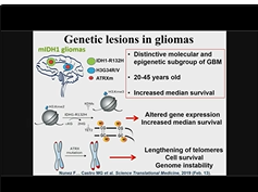 Epigenetic Reprogramming Within Tumor Microenvironment Impacts Immune-mediated Gene Therapy Efficacy