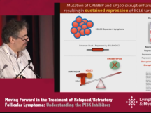 Epigenetic Therapy for Lymphoma: From the Laboratory to the Clinic Epigenetic Therapy for Lymphoma: From the Laboratory to the Clinic