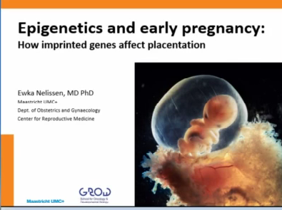 Epigenetics and early pregnancy: how imprinted genes affect placentation