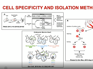 Epigenomics and transcriptomics Epigenomics and transcriptomics