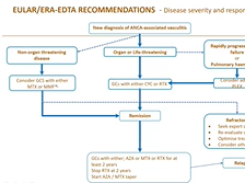 ERS Webinar Autumn Series: GPA/Vasculitis - best practice