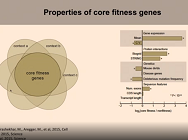 Essential Gene Identification in Human Cancer Essential Gene Identification in Human Cancer