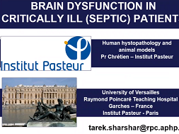 Et après la réa ? 1 Mes fonctions cognitives