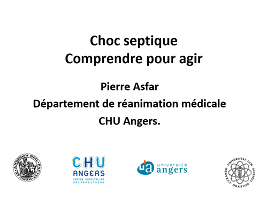 Etats de choc - Comprendre pour agir - Choc septique