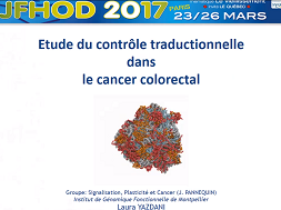 Etude du contrôle traductionnel dans les cellules souches du cancer colorectal Etude du contrôle traductionnel dans les cellules souches du cancer colorectal