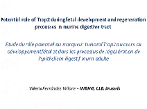 Etude du rôle potentiel du marqueur tumoral Trop2 au cours du développement foetal et dans les processus de régénération de l'épithélium digestif murin adulte