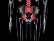 EULAR School of Rheumatology: Principles of the Musculoskeletal History and Examination EULAR School of Rheumatology: Principles of the Musculoskeletal History and Examination