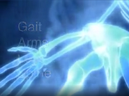 EULAR School of Rheumatology: The GALS Screen (Gait, Arms, Legs, Spine)