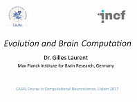 Evolution and Brain Computation