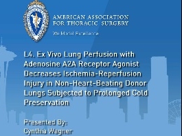 La perfusion pulmonaire ex vivo avec un agoniste du récepteur à l'adénosine A2A diminue les lésions d'ischémie liées à la reperfusion dans les poumons de donneurs à cœur non-arrêté soumis à la préservation de froid prolongée La perfusion pulmonaire ex vivo avec un agoniste du récepteur à l'adénosine A2A diminue les lésions d'ischémie liées à la reperfusion dans les poumons de donneurs à cœur non-arrêté soumis à la préservation de froid prolongée