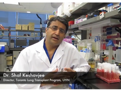 Ex vivo perfusion du poumon pour la transplantation du poumon