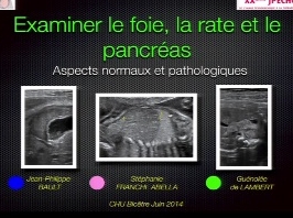 Examiner le foie, la rate et le pancréas fotal Examiner le foie, la rate et le pancréas fotal