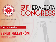 Expert in interview: Prof. Bengt Fellström