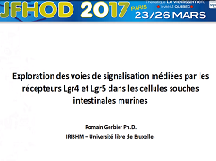Exploration des voies de signalisation médéies par les récepteurs Lgr4 et Lgr5 dans les cellules souches intestinales murines