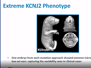 F0 Phenotyping F0 Phenotyping