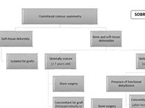 Fat Grafting Magic. Plastic Surgery Hot Topics with Rod J. Rohrich, MD