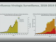 February 2019 ACIP Meeting - Influenza Vaccines