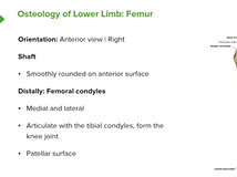 Femur - Anatomy | Medical Education Videos Femur - Anatomy | Medical Education Videos