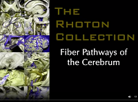 Fiber Pathways of the Cerebrum (3D Anaglyph) Fiber Pathways of the Cerebrum (3D Anaglyph)