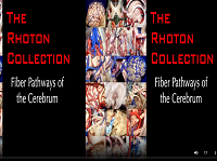 Fiber Pathways of the Cerebrum (3D TV) Fiber Pathways of the Cerebrum (3D TV)