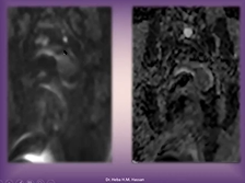 Film Reading Session