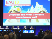 Focus on Kidney - End of Monotherapy