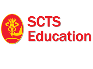 Future of atrial ablation surgery