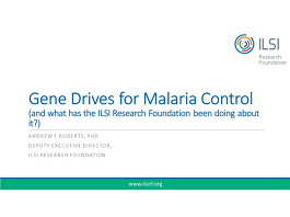 Gene Drive for Malaria Control