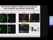Gene Editing and Targeted Gene Expression Manipulation for Treating Neurological Disorders Gene Editing and Targeted Gene Expression Manipulation for Treating Neurological Disorders