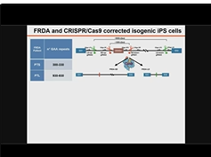Gene Editing and Targeted Gene Expression Manipulation for Treating Neurological Disorders Gene Editing and Targeted Gene Expression Manipulation for Treating Neurological Disorders