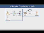Gene Editing for DMD Gene Editing for DMD